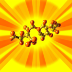 бета каротин це що таке, користь для здоров’я, джерела та норма споживання