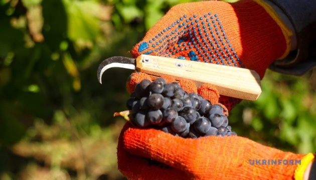 Доторкніться до пучка та полюбіть свій